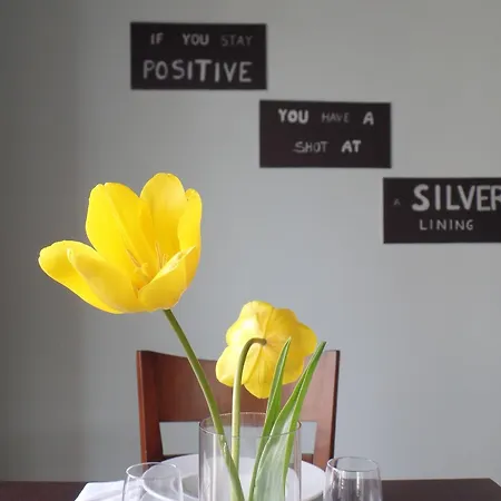 Principe Center 公寓式酒店 奥尔塔