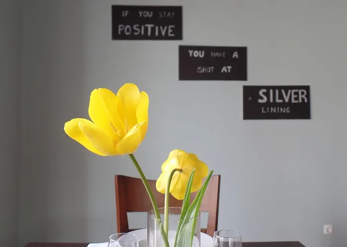 Principe Center 公寓式酒店 奥尔塔